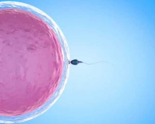 供卵移植囊胚几次成功&捐卵找客户,北京301医院做借卵试管包男孩要多少钱？