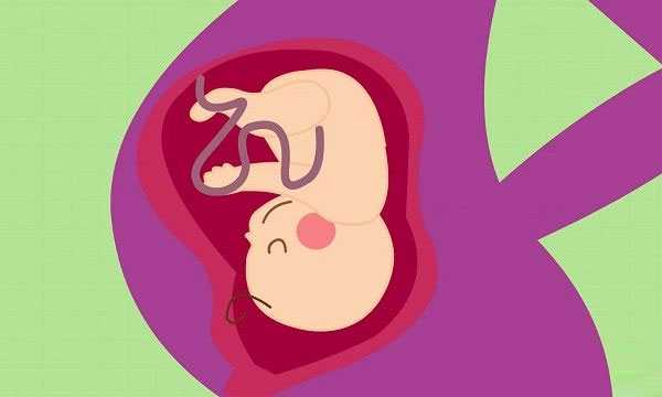 元阳县代孕包男孩,移植冻胚前五天能同房吗，试管婴儿，取卵移植-子宫肌瘤能