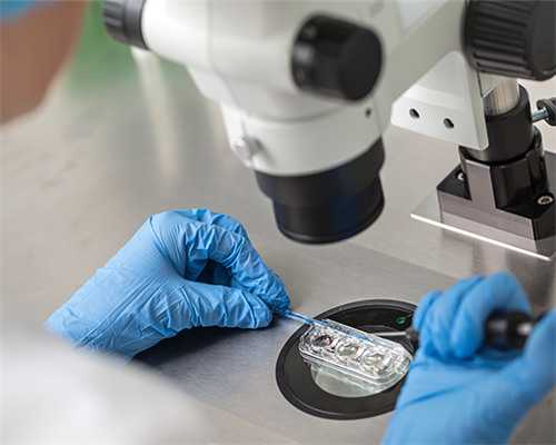 45岁女性卵子质量好吗&供卵试管选男女,备孕时发现患有子宫肌瘤，是先怀孕还