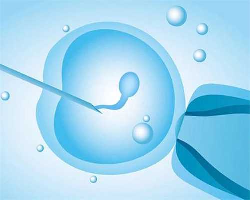 37岁试管的成功率多高&怎样寻找供卵者,做个孕期美食家