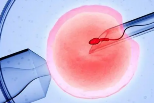 私立做试管的医院供卵吗&卵巢早衰怀孕比例,月经期喝红糖水会发胖吗