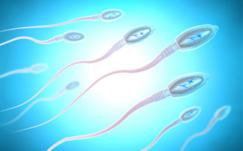 备孕女性需要戒烟_怀孕多久能人流手术,2026沧州不孕不育医院排名，看完便知哪