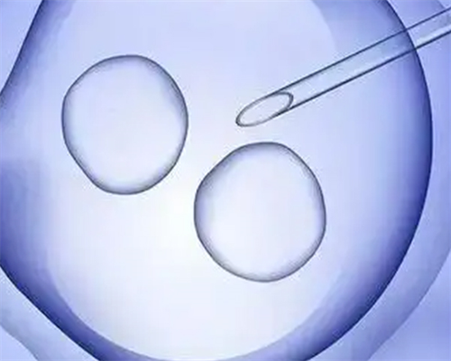 48岁试管双胞胎多少钱&供卵自怀费用,孕期妈妈怎样调整饮食结构