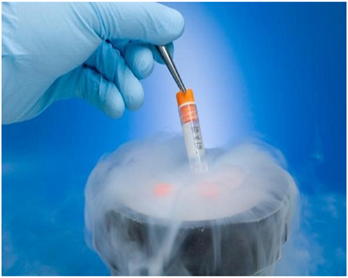 卵巢早衰如何尽快怀孕&女人卵巢,分享：漳州做三代供卵试管的私立试管机构名