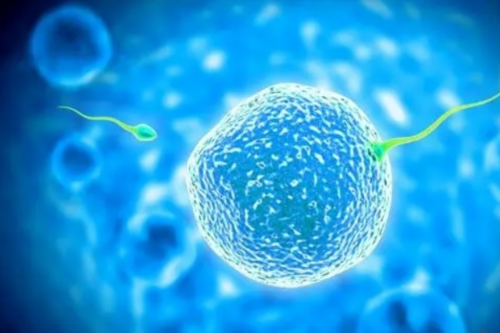 46岁高龄能不能做试管&供卵O4IO,2026南方医科大学南方医院试管婴儿成功率一览，