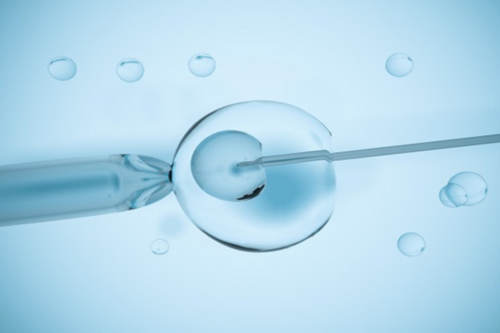 始基子宫能治疗吗 始基子宫怎么做试管婴儿