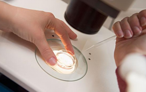 供卵助孕包成功费用,广西三大助孕公司!河池知名助孕公司