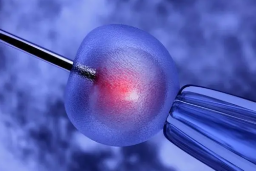 代怀中介网,供卵生子,永州三代供卵代怀助孕供卵生孩子机构大全