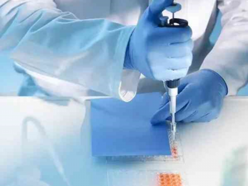 助孕网站排名,泰国供卵代怀婴儿价格高？助孕失败该怎么办？