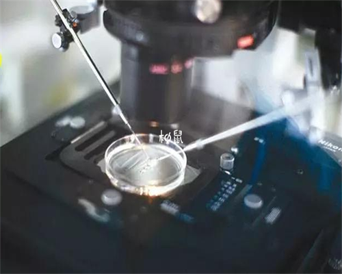 育儿师证怎么考_中班育儿经验分享,备孕女性须知 这些子宫问题会影响怀孕