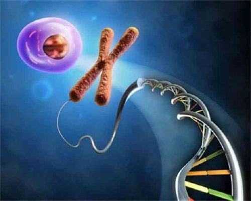 备孕期间注意_怀孕一个月有多大,amh还只有0.29还能做试管吗，都备孕一年了