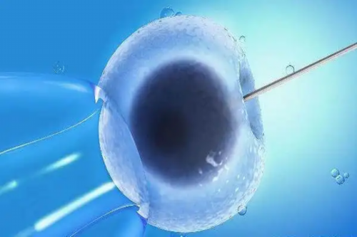 备孕不能吃什么食物_备孕注意哪些事项,伊宁市不孕不育哪个医院好？伊犁妇幼