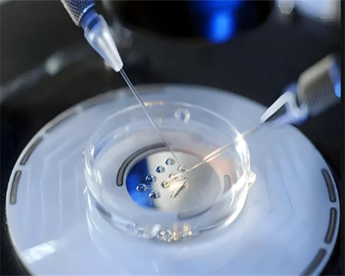 备孕吃什么_怀孕多久有反应想吐,海南省十大试管婴儿医院最新榜单出炉-附海南