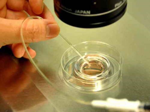 育儿心得范文50字_男性怎样备孕,精心备孕8个月没怀上医生说我遭遇了排卵障碍