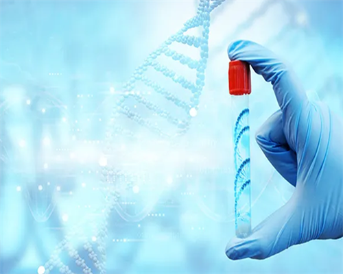 良好的日常行为习惯