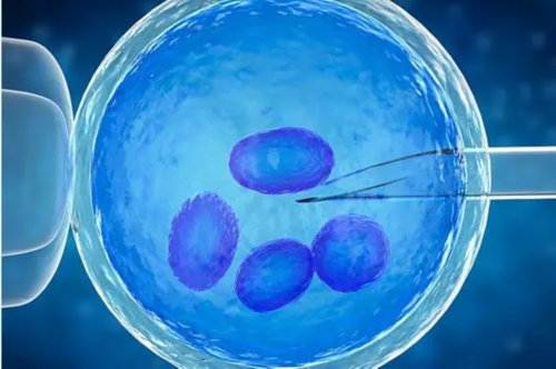 2026四川三代试管供卵费用参考表，卵巢早衰供卵生男孩医院揭晓
						