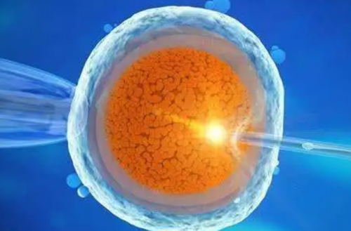 40岁卵巢早衰怎样调理&国内代妈价格表,月经期到底能不能洗头吗