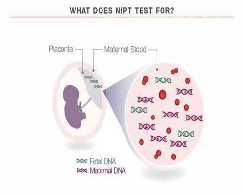 2026山东供卵试管医院排名前十名单来袭，附每家医院详细攻略
						