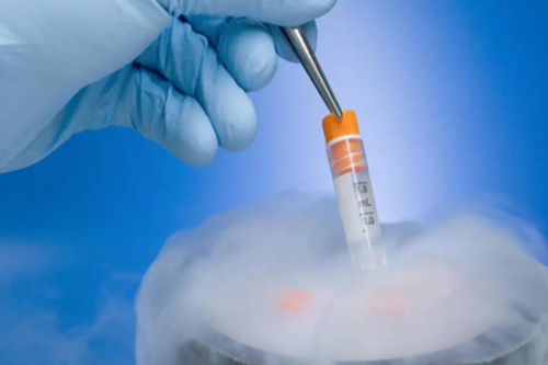 可以供卵借肚子生孩子吗&30万找私人代孕,有过性生活打hpv疫苗，有必要先做宫