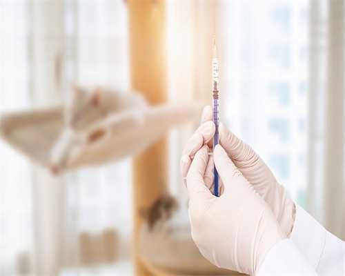 招聘捐卵女生,供卵代怀婴儿助孕食谱 这些食谱赶紧Get起来