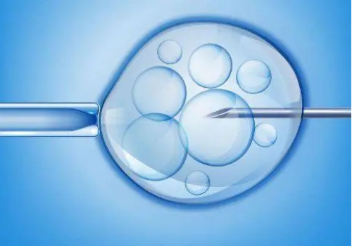 帮人助孕,供卵官网,柬埔寨供卵代怀婴儿助孕是否能降低流产率？