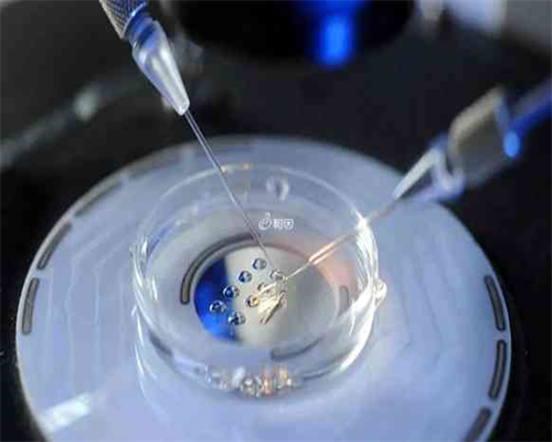 湘潭市中心医院三代试管婴儿的费用是多少？，供卵费用