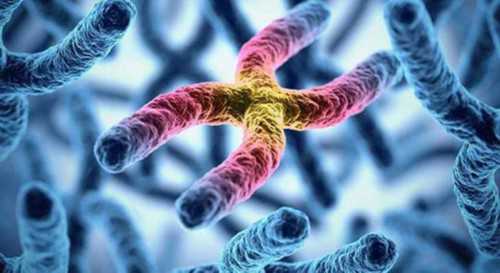 面试供卵者需要问什么&试管供卵供,广州比较好的正规试管助孕中心有哪些？