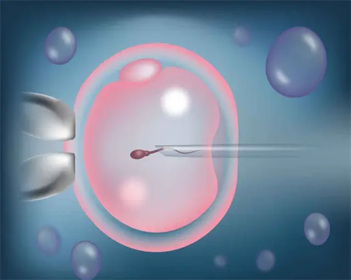 助孕中介网址,，为助孕妈妈加油北京助孕套餐_开启幸福之旅！