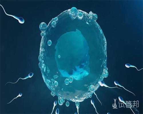 泰国试管婴儿全包价格指的是什么，助孕公司服务