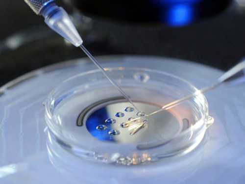 火线是什么颜色的，火线是什么颜色，代怀孩子公司