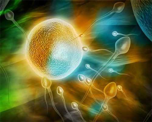 老公不知道孩子是供卵生的&国内供卵服务机构,黄体低会影响到备孕的女性怀孕