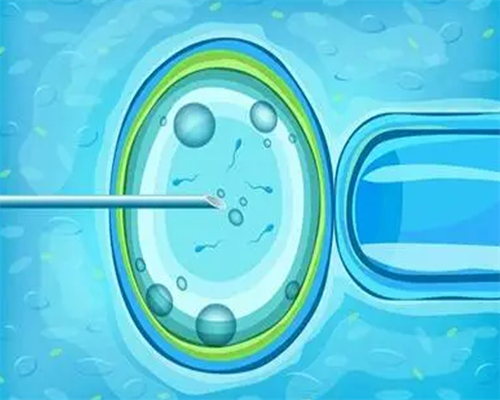 代怀电话_供卵靠谱,，为助孕妈妈加油北京助孕套餐_开启幸福之旅！