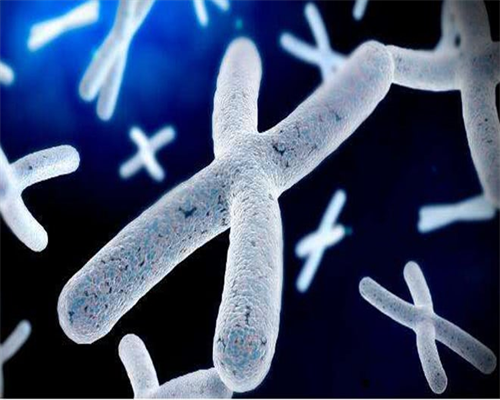 供卵的小孩算亲生的吗&传承助孕网,孕期益智食谱