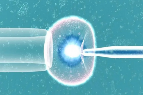 育儿知识大全微信_怀孕多久有反应,不孕不育检查项目 不孕不育原因