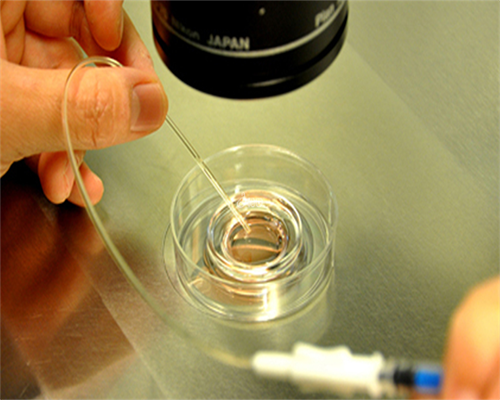 40岁以上试管成功案例&代孕工作那里找,准妈妈孕期最佳食物大集结