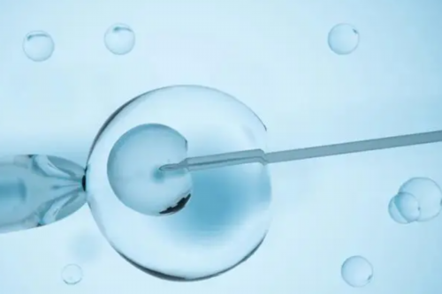 代生网微信-供卵中介公司,通过供卵代怀婴儿助孕的女性需要做唐筛吗?