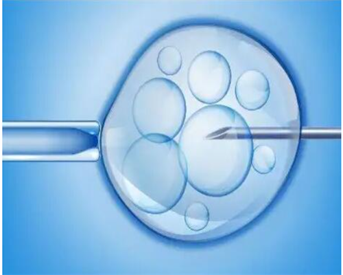 幼稚子宫没月经能做试管吗2026幼稚子宫*育指南奉上