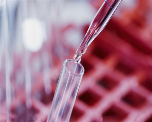 备孕几个月可以怀孕_天津育儿假不执行,洛阳不孕不育症医院是公立三甲还是私