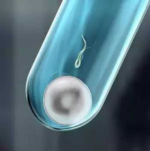 2026上海市第一妇婴保健院供卵试管费用发布-附供卵排队时长
						