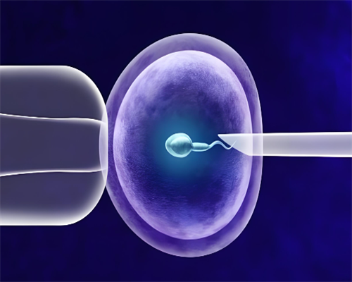 三代试管性别鉴定责用&医院助孕费,男性不孕不育的原因和治疗方法