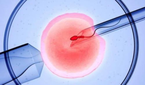 怀孕多久能药物流产_备孕多久算正常,10年备孕没怀上娃，2次试管婴儿失败，腹