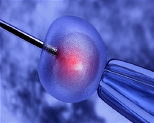 做试管婴儿可以自己找人供卵吗&卵子质量差能怀孕么,备孕指南|带你了解HCG：对