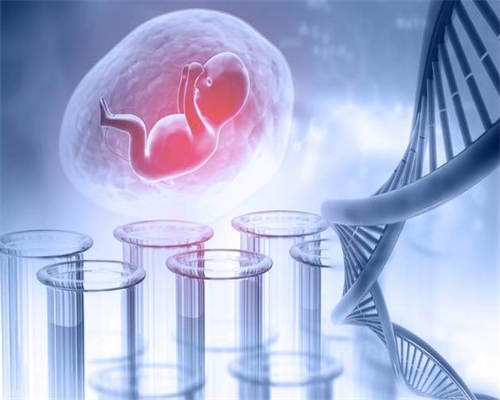 
              泉州哪家公立医院生殖科做供卵试管婴儿比较好？
            