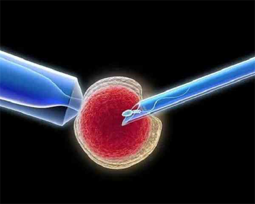 安徽合肥哪有私立医院可以做供卵试管婴儿？
