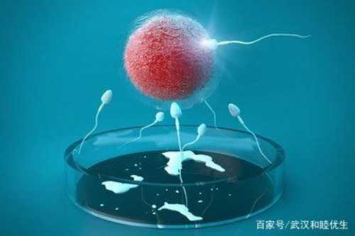 供卵作为父母你们能接受吗&供卵试管助孕中心,2026年四川省最权威的治疗不孕不