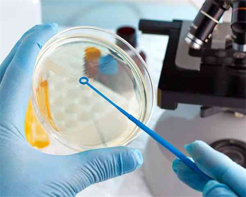 长春市妇产医院供卵试管婴儿多少钱
						