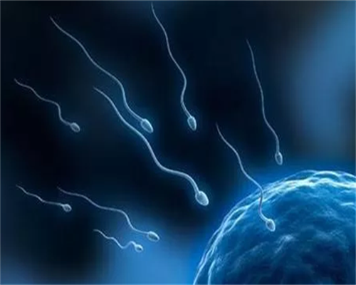 27岁卵巢功能早衰症状&金贝供卵联系方式,女性备孕怎样促进排卵？这几种食物