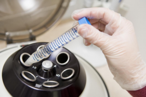 41岁供卵试管成功&46岁供卵的成功率,高龄女性什么时候备孕生二胎最合适？要考