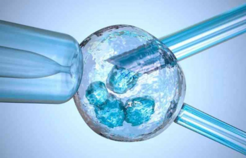 育儿宝典_怀孕一个月有什么症状,卵泡发育不好如何备孕？4个妙招助你好孕！