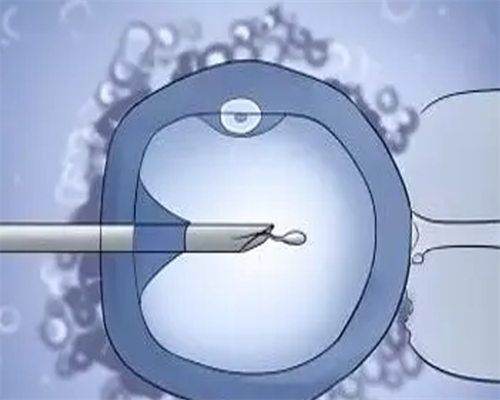 济南第三代试管婴儿(做试管婴儿成功率哪家高)